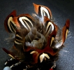 icone broche lady amherst fleur plumes détail THE CAT STORE Bijouterie